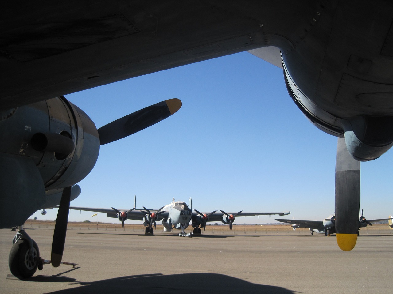 The Role of the MAV (Micro Aerial Vehicle) in Reconnaissance